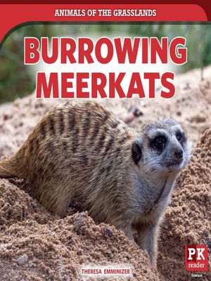 cover image of Burrowing Meerkats